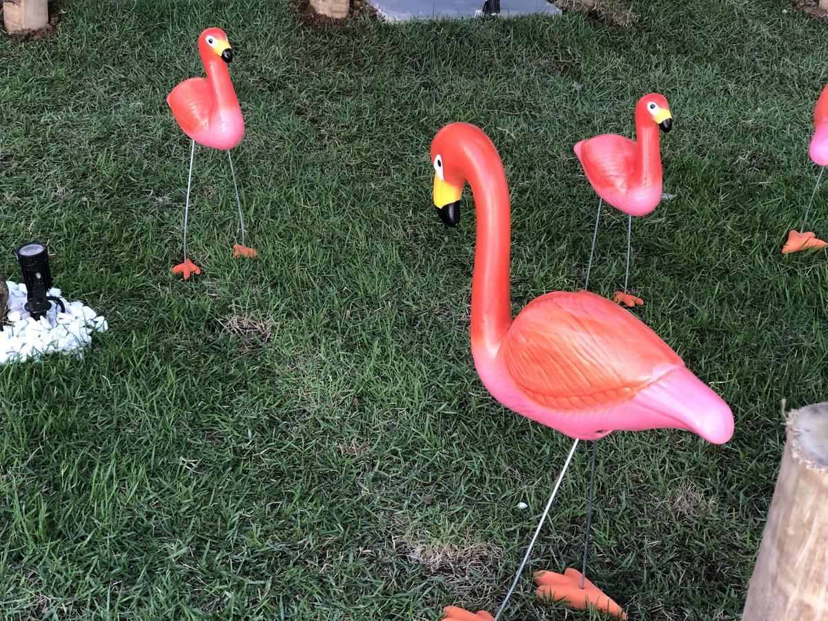 Flamingo Beach Pousada 卡波布里奥 外观 照片